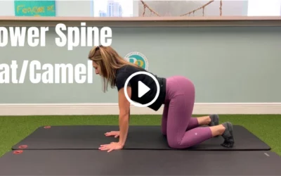 Lower Spine Cat and Camel