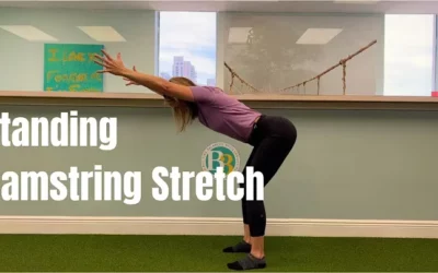 Standing Hamstring Stretch