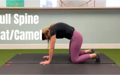 Full Spine Cat and Camel